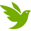 custom_website